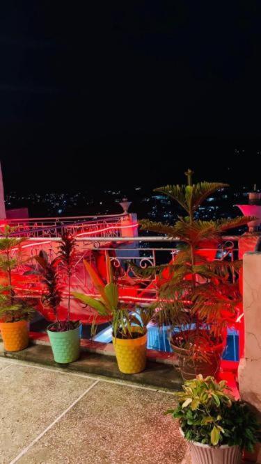 فندق Solan Regency المظهر الخارجي الصورة